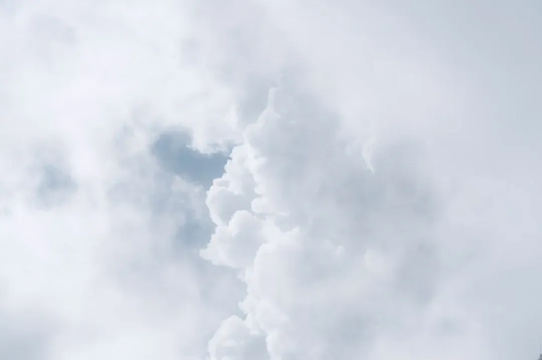 Microsoft, Nvidia invest in Anthropic in cloud services deal